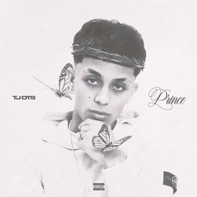 PRINCE — TJ DTS